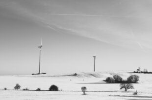 Grüner leben: Energie