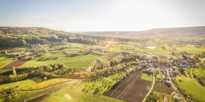 Marktwirtschaft und Klimaschutz: Eine Symbiose