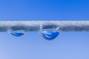 Nachhaltigkeit in der Immobilienbranche