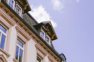 Nachhaltigkeit in der Immobilienbranche: Eine